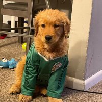 JDH (@jona2001h) 's Twitter Profile