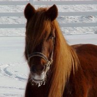 Seenitall (@theresa32894609) 's Twitter Profile Photo Seenitall (@theresa32894609) 's Twitter Profile Photo