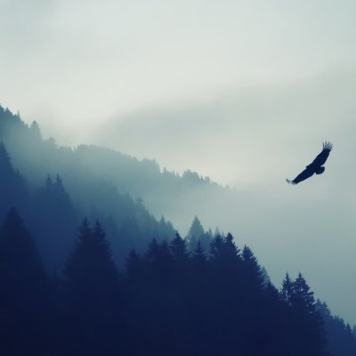 SyedMAliMustafa's profile picture. 