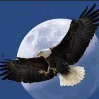 yazdan.46🎗️ (@46_yazdan) 's Twitter Profile