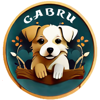 Community-driven $GABRU Token on Solana aids stray dogs. 🐾 Support our mission for impact with each token! 🚀 | https://t.co/5feOOeJS6m