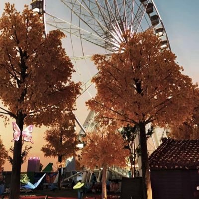 faisal95281129's profile picture. 