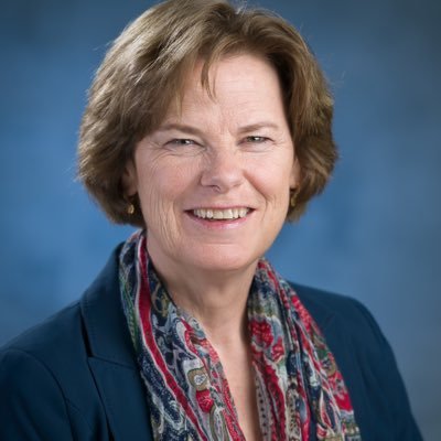 Divisiedirecteur gevangeniswezen en vreemdelingenbewaring Dienst Justitiële Inrichtingen