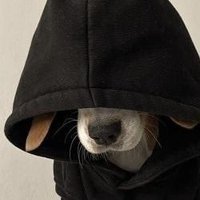 rogue (@roguel1r1) 's Twitter Profile