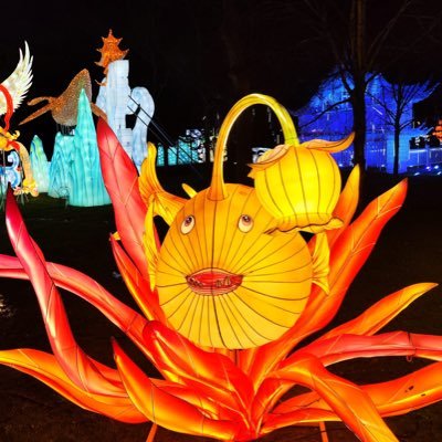 Madame_Chaudron's profile picture. « We say to girl, you can have ambition but not to much … otherwise, you will threaten the men… » je suis aussi dans le monde de l’Asie d’après @misangeek