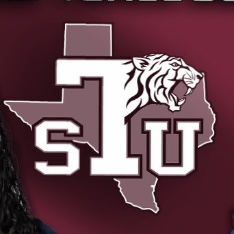 The official Twitter of the TSU Lady Tigers Softball 🥎