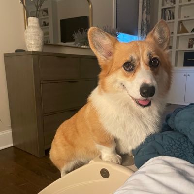 lojewski21's profile picture. 
