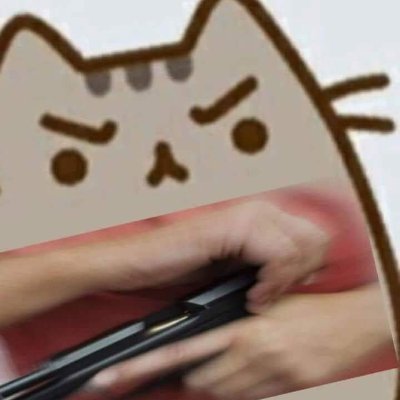 lsvb83mj2ms10g's profile picture. tpot is pseudo-intellectual cancer

mute all indians and engagement baiters