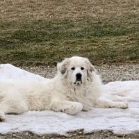 M Austin (@maustin28) 's Twitter Profile