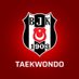 Beşiktaş Taekwondo (@BJK_Taekwondo) Twitter profile photo