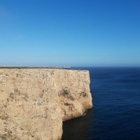 zazou (@zou_la_zazou) 's Twitter Profile