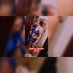daniel 24 y daniela 22 (@parejita2123) Twitter profile photo daniel 24 y daniela 22 (@parejita2123) Twitter profile photo