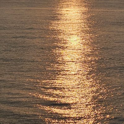 rsy3210's profile picture. 구독계