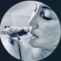 mltmylckl(@aborjane) 's Twitter Profile Photo