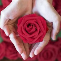 Şahsenem (@ahsenem73378866) 's Twitter Profile Photo Şahsenem (@ahsenem73378866) 's Twitter Profile Photo