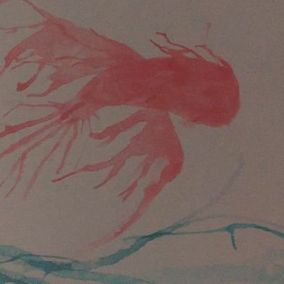 loais_ce's profile picture. 