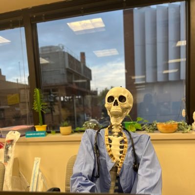 bikostevie's profile picture. 