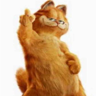 shosho269833's profile picture. 