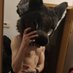 Haru~ (@haru_afterbark) Twitter profile photo Haru~ (@haru_afterbark) Twitter profile photo