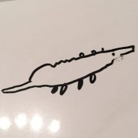 featherandzero (@featherandzero) 's Twitter Profile
