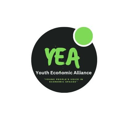 We are a youth led alliance,championing full youth economic participation and empowerment ,amplifying young people's voice in the economy
