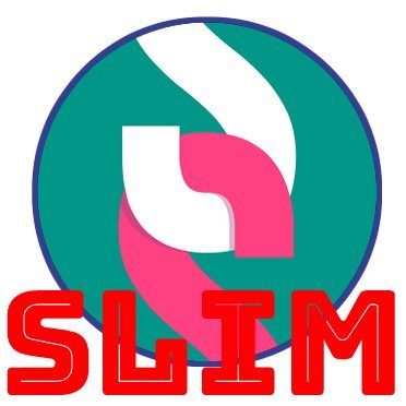 SLIM2k16 Profile Picture