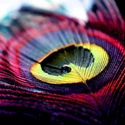 Zeus011055's profile picture. Artist