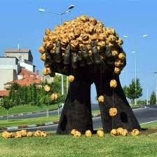 mar_jinal1's profile picture. tavşanlı 24 yaşındayım mesaj atın gerisi gelir