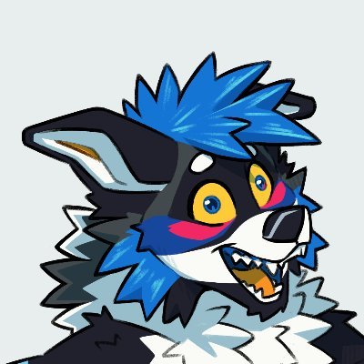 ⚡️Silo Collie⚡️さんのプロフィール画像