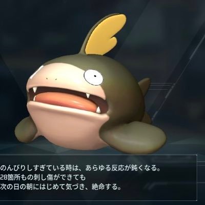 KIRAさんのプロフィール画像