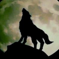 ابوناصر (@dbwqtn) Twitter profile photo