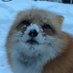 matoro (@_matoro_) Twitter profile photo matoro (@_matoro_) Twitter profile photo