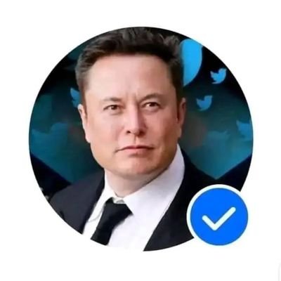 Elon musk private page