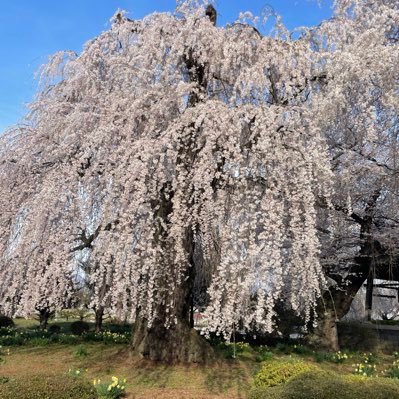 👦🏻👨🏻👩🏻🐩🏡🏔 /動物大好き❤ 絶賛反抗期の息子のオカンです🙆🏻‍♀️義が付く人物達皆嫌いというか関わりたくない😇愚痴吐いちゃうかも🙄無言フォロー失礼します❣️いいね❤️は共感・応援を込めて押してます👍