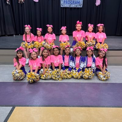 Purple Heart Elementary Cheer Squad 💜💛🤍📣  A powerhouse of talent, resilience, and heart!