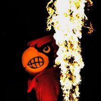 No Context Louisville Cardinals(@CardsOOC) 's Twitter Profile Photo