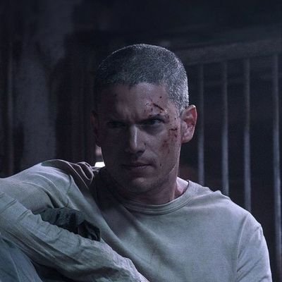 AfcArsen's profile picture. Arsenal till I die❤️❤️