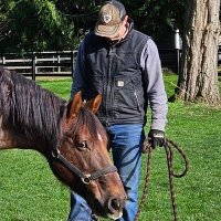 Tim O'Brien (@_timobrien) 's Twitter Profile