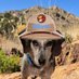 Oliver in memory of 🌈Angel Lieutenant Dog Joe (@joethestaffyan1) Twitter profile photo Oliver in memory of 🌈Angel Lieutenant Dog Joe (@joethestaffyan1) Twitter profile photo
