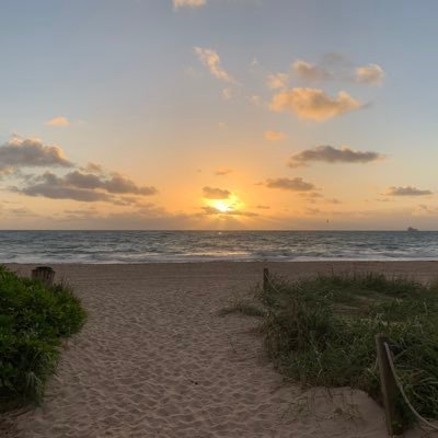 FlLnudist's profile picture. speedos, tanlines, and love being nude!