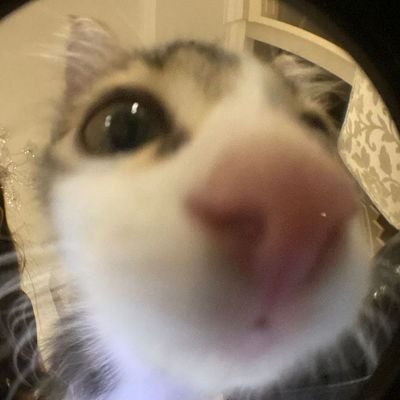 kaeさんのプロフィール画像