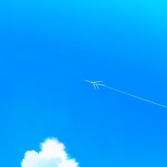 SChalphy's profile picture. 