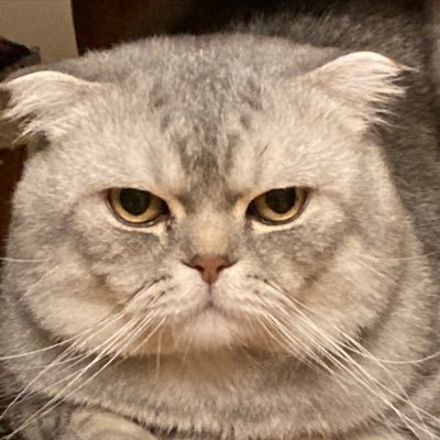 etcimurat's profile picture. 