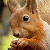 Writer, Editor, Blog Developer