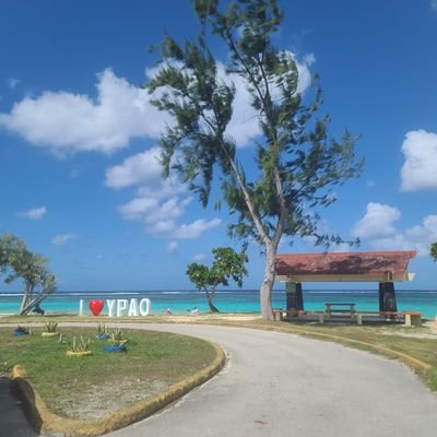 jeonwooho's profile picture. 