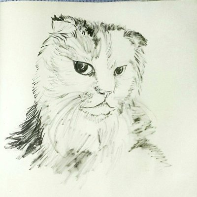 BankNaria46426's profile picture. ツイッター🌊 女性👩 ほとんどの時間を過ごします✈ 旅行とテレビ鑑賞🖥 娘1人の母 ラーメンを探そう🍜🍤 ラーメンなし、人生なし 🥗🍜🍛 無言フォロー失礼します 遅くなるかもしれませんが返信します