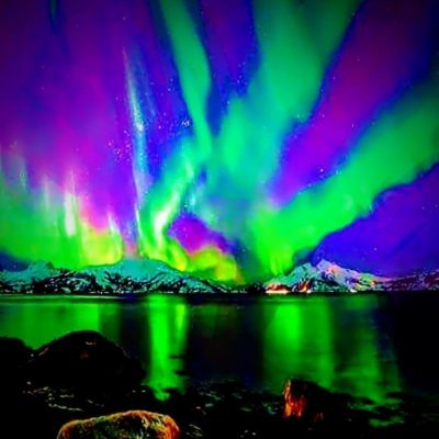 MiztaBerte420's profile picture. 