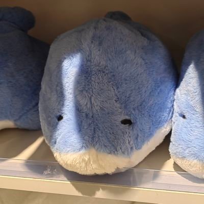 1991Surprise's profile picture. splatoon3 / Adelta / ATEEZ / 20↑
明正/崎桥