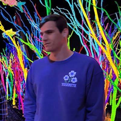 DocMocSSB's profile picture. SSBU Wolf Main