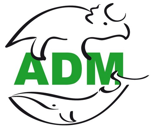 assodidattica's profile picture. ADM nasce nel 1994 al Museo di Storia Naturale di Milano e nel 2008 sbarca a Genova, al Museo di Storia Naturale G. Doria...